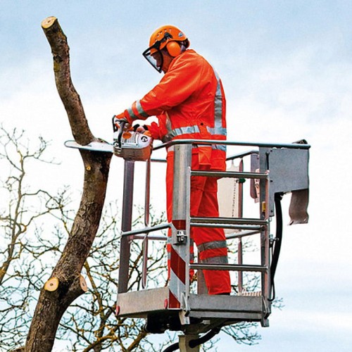 Pilarka-spalinowa-Stihl-MS-201-TC-M-3.jpg