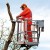 Pilarka-spalinowa-Stihl-MS-201-TC-M-3.jpg